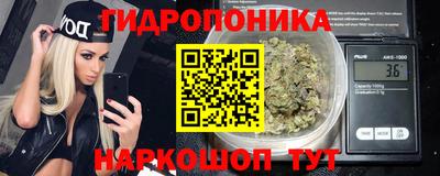 индика Обь