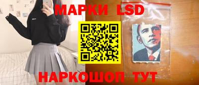 индика Обь