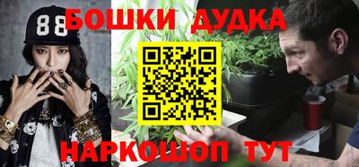 индика Обь