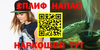 индика Обь