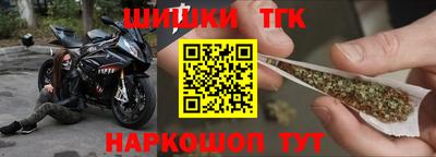 индика Обь