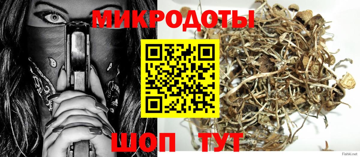 Псилоцибиновые грибы Cubensis Алексин
